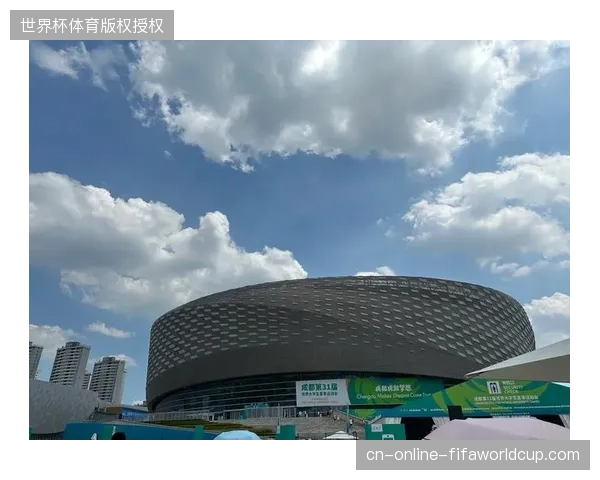 场馆实名制验证漏斗未能完全过滤非法转售门票进入观赛核心区